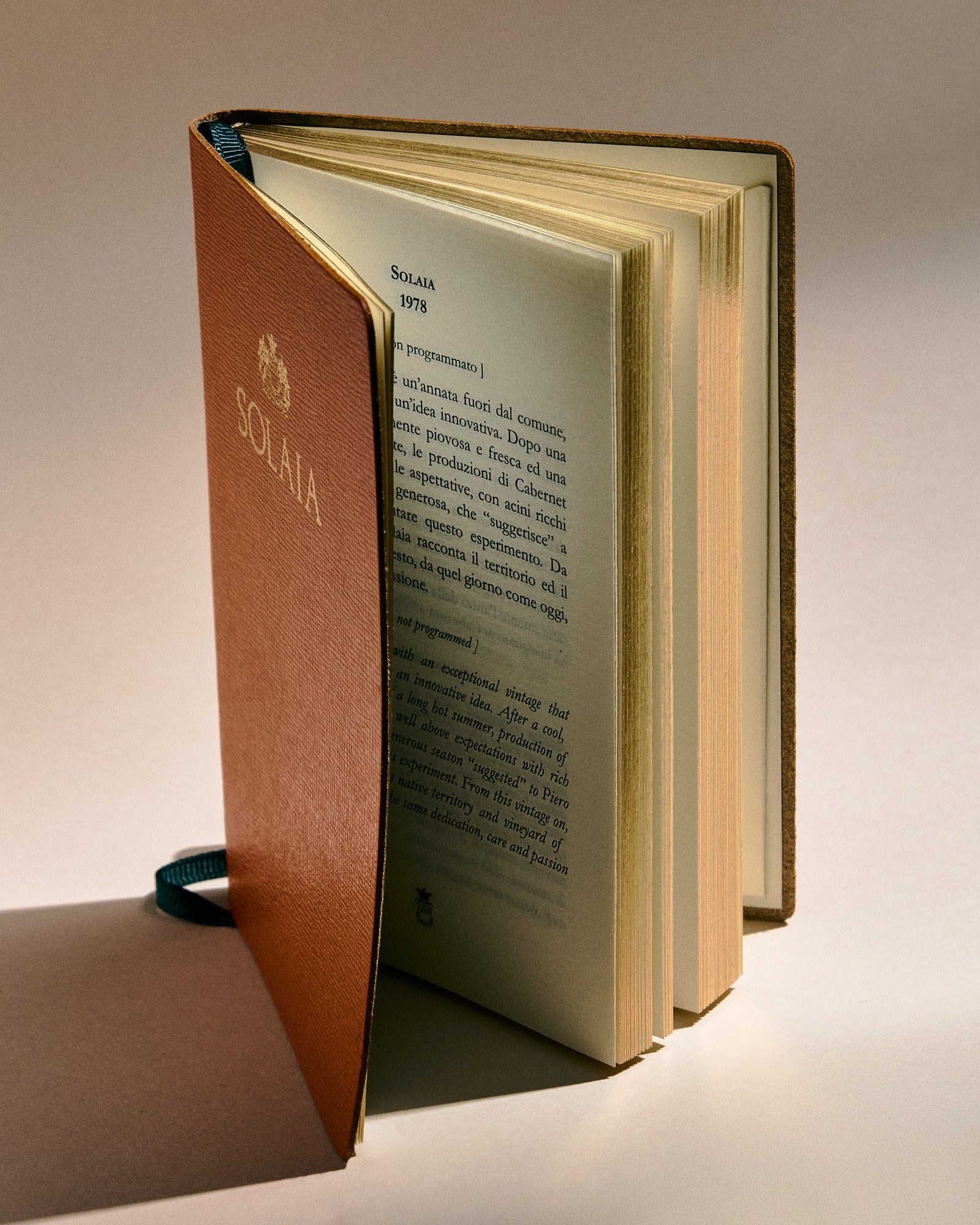 Libro rilegato in pelle marrone con luce calda