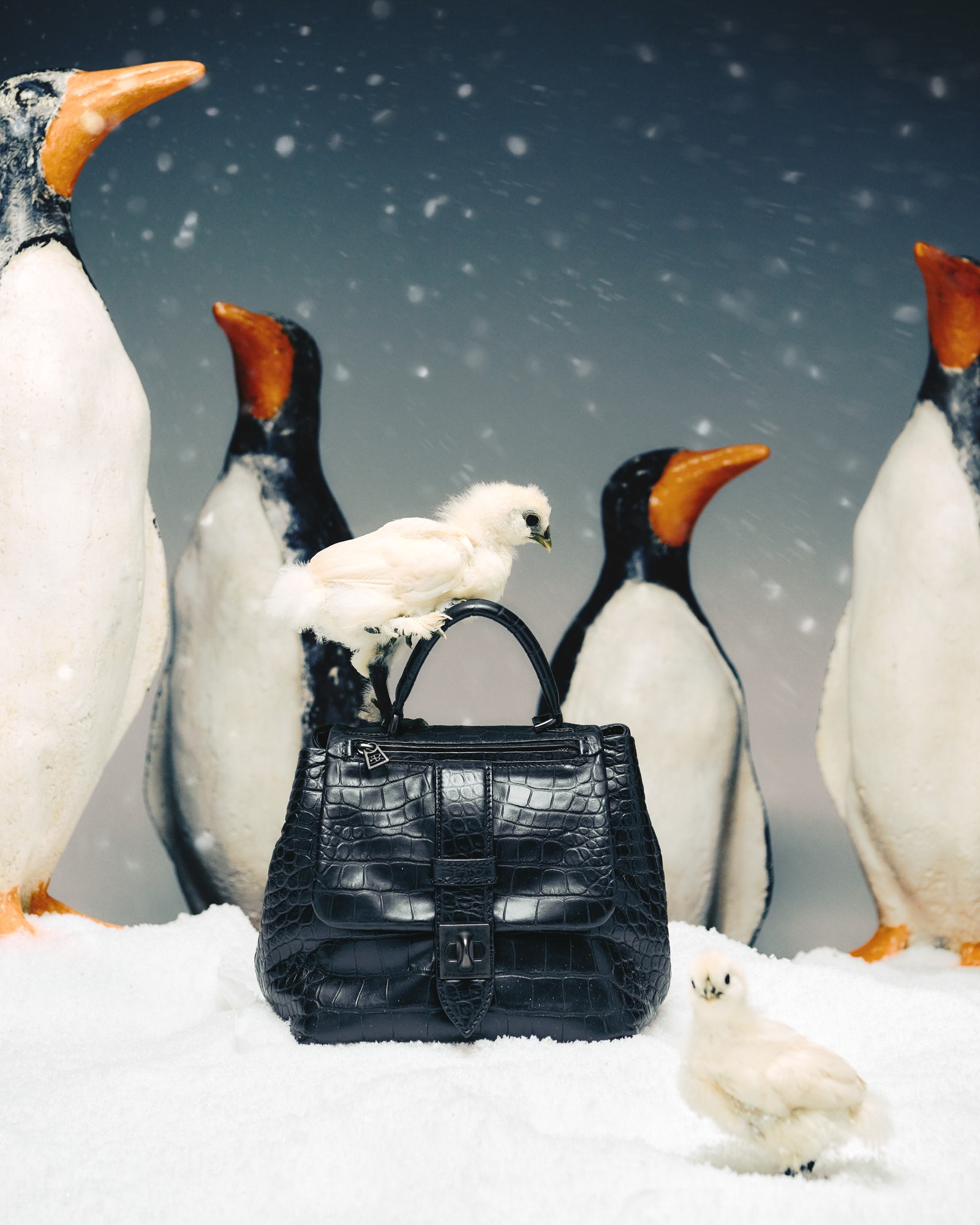 Borsa in coccodrillo nera tra pinguini su set innevato